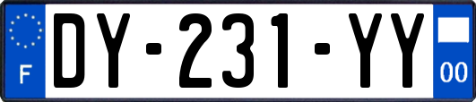 DY-231-YY