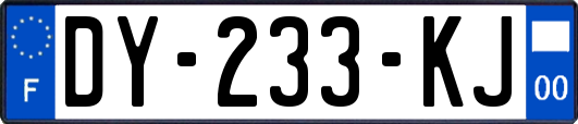 DY-233-KJ