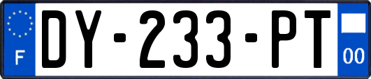 DY-233-PT