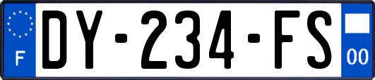 DY-234-FS