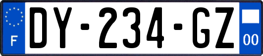 DY-234-GZ