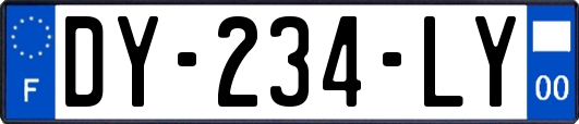 DY-234-LY