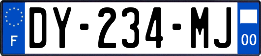 DY-234-MJ