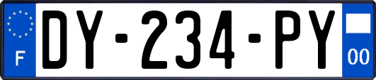 DY-234-PY