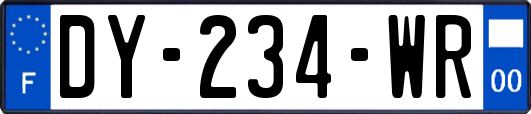 DY-234-WR