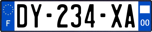 DY-234-XA