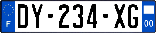 DY-234-XG