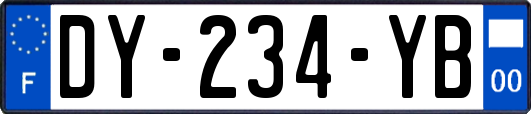 DY-234-YB