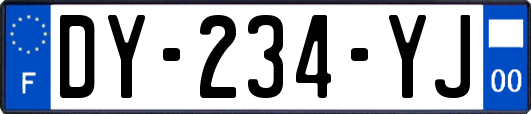 DY-234-YJ