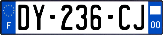DY-236-CJ