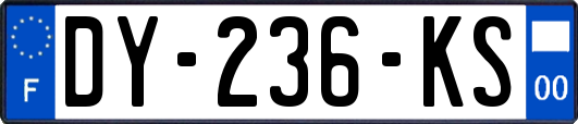 DY-236-KS