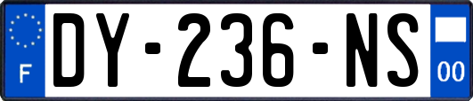 DY-236-NS