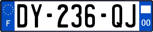 DY-236-QJ