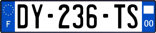 DY-236-TS