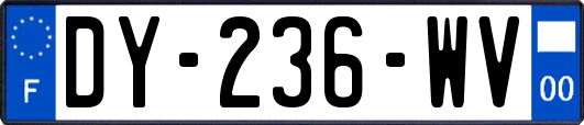 DY-236-WV