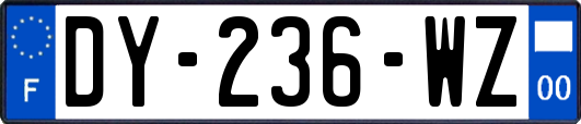 DY-236-WZ