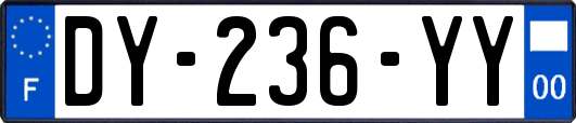 DY-236-YY