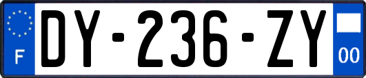 DY-236-ZY