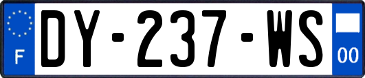 DY-237-WS