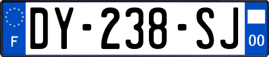 DY-238-SJ