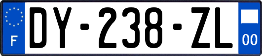 DY-238-ZL