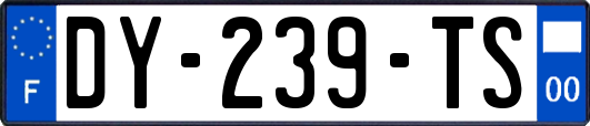 DY-239-TS