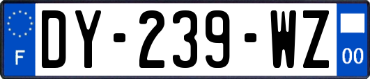 DY-239-WZ