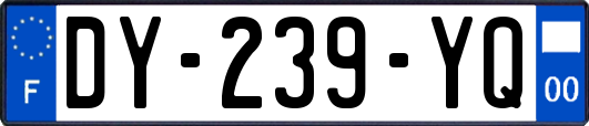 DY-239-YQ