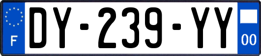 DY-239-YY
