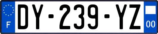 DY-239-YZ