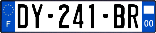 DY-241-BR