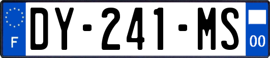 DY-241-MS