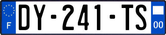 DY-241-TS