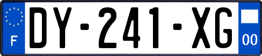 DY-241-XG