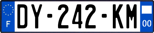 DY-242-KM