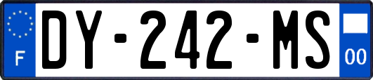 DY-242-MS