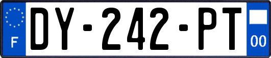 DY-242-PT