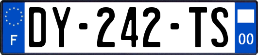 DY-242-TS