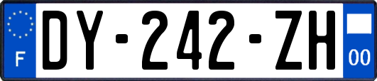 DY-242-ZH