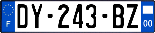 DY-243-BZ