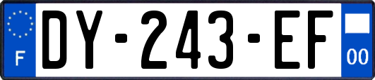 DY-243-EF