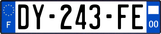DY-243-FE