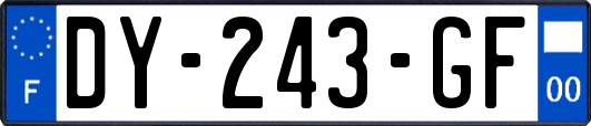 DY-243-GF