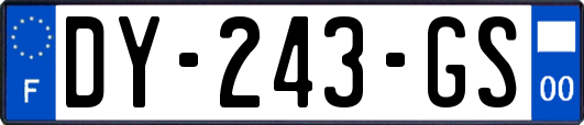 DY-243-GS