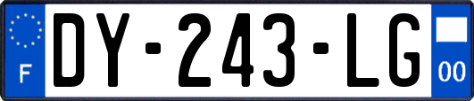 DY-243-LG