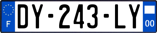 DY-243-LY