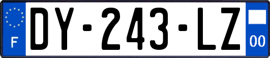 DY-243-LZ