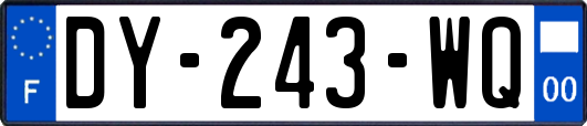 DY-243-WQ