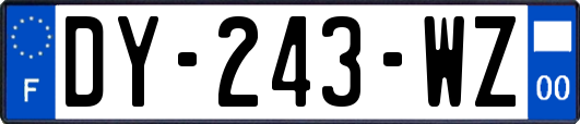 DY-243-WZ