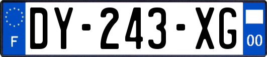 DY-243-XG